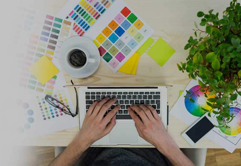 website development