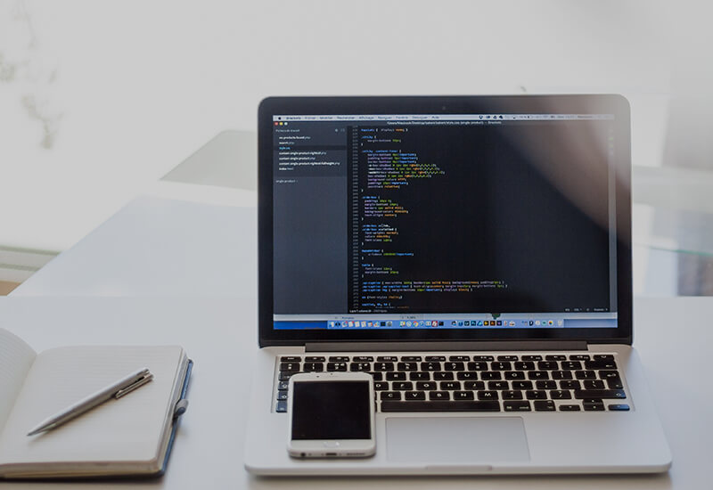 cms development